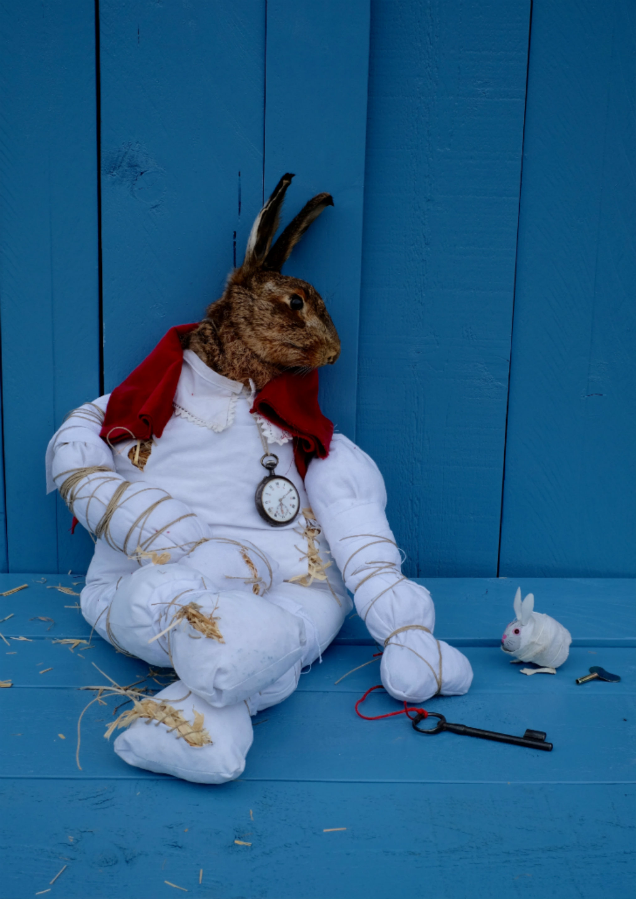 Tout près d'Alice