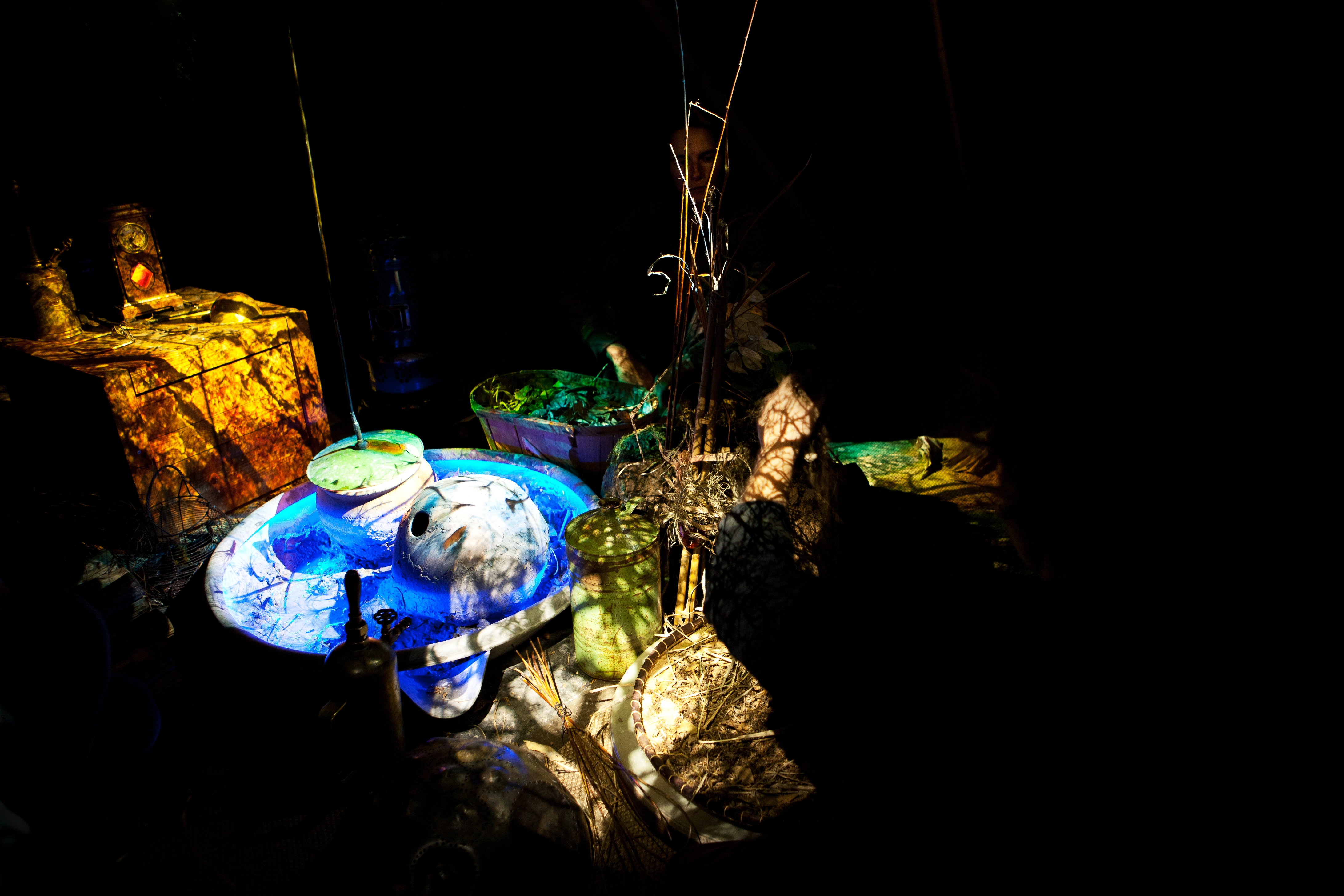 Le Jardin sous la Lune