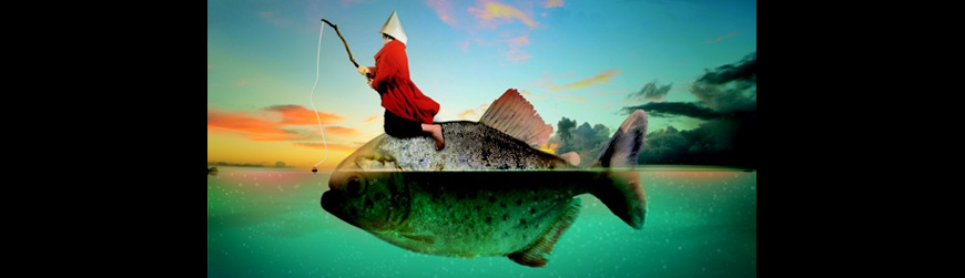 Si ça se trouve, les poissons sont très drôles