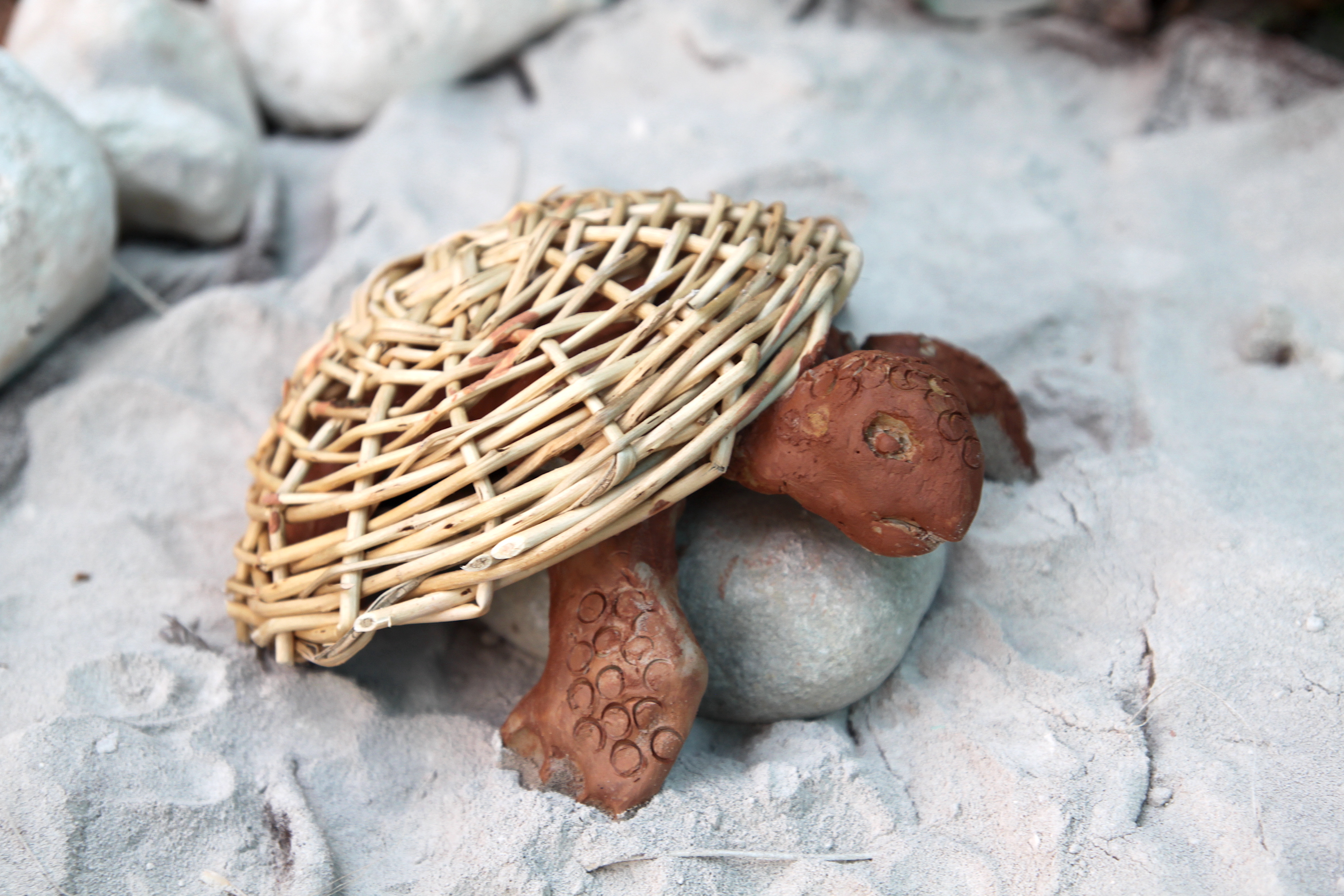 Histoire de cabanes - Tortue